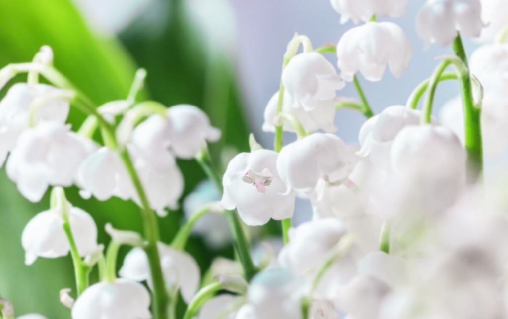 誰かに話しを聞いてもらうだけでも楽になります